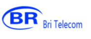 Distributed Antenna System RF Manufacturer | Bri Electronic Logo
